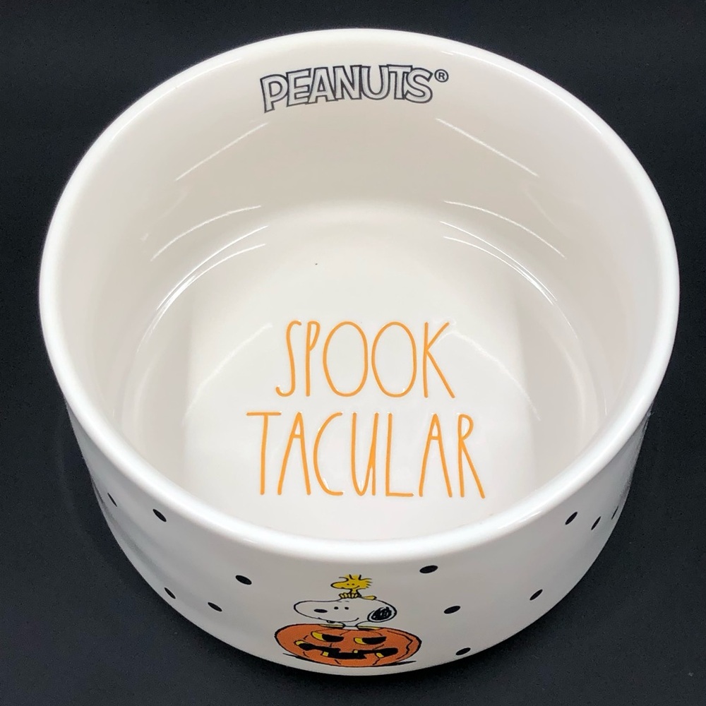 Rae Dunn Peanuts Pet Dog Bowl Halloween Spooktacular Snoopy & Woodstock - Picture 2 of 16